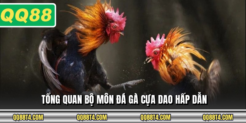 Tổng quan bộ môn đá gà cựa dao hấp dẫn